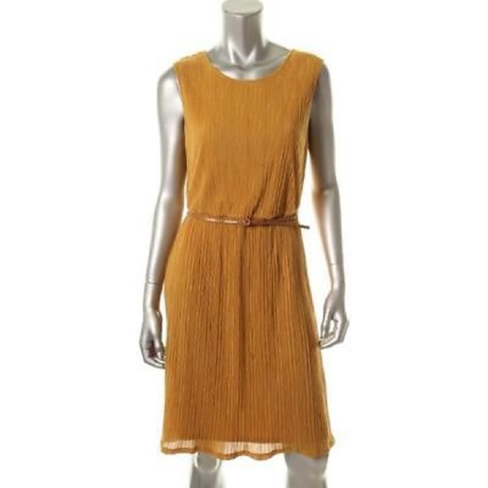 Ellen Tracy Dress